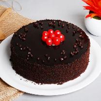 Choco Lts Cake